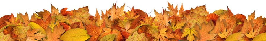 Le Reve Fall Banner Bottom